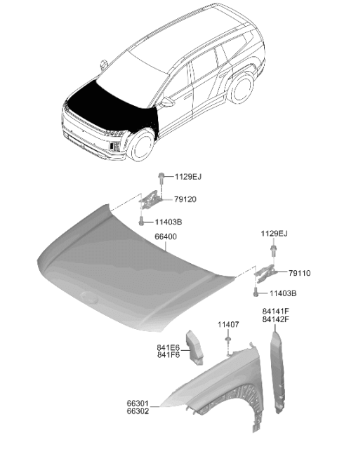 2026 Hyundai Ioniq 9 HINGE ASSY-HOOD,RH Diagram for 66920-TD000