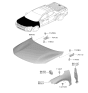 Diagram for 2024 Hyundai Santa Cruz Fender - 66321-K5000