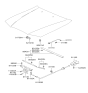 Diagram for 2000 Hyundai Accent Lift Support - 81170-25000