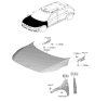 Diagram for 2024 Hyundai Ioniq 5 Fender - 66320-LI000