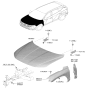 Diagram for 2025 Hyundai Tucson Hood Hinge - 66920-P0000