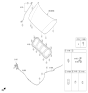 Diagram for 2021 Hyundai Accent Lift Support - 81170-H5000