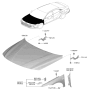 Diagram for 2024 Hyundai Elantra Hood Hinge - 66920-AA000