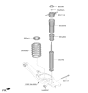 Diagram for 2024 Hyundai Elantra Coil Springs - 55330-BYBB0