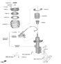 Diagram for 2024 Hyundai Elantra Bump Stop - 54626-K9000