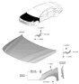 Diagram for Hyundai Elantra Fender - 66310-AA100
