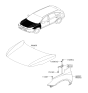Diagram for 2011 Hyundai Veracruz Hood Hinge - 79120-3J000