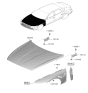 Diagram for 2026 Hyundai Genesis G80 Hood Hinge - 66920-T1000