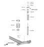 Diagram for 2024 Hyundai Venue Coil Spring Insulator - 55334-K2000