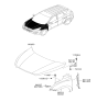 Diagram for Hyundai Hood Hinge - 79120-2S000