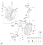 Diagram for Hyundai Elantra GT Transfer Case Seal - 43119-39070