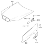 Diagram for Hyundai Sonata Hood - 66400-3D200