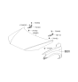 Diagram for Hyundai Santa Fe Fender - 66310-0W260