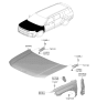 Diagram for 2026 Hyundai Santa Fe Hybrid Hood Hinge - 66920-R6000