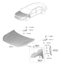 Diagram for Hyundai Elantra Hood - 66400-F3500