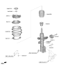 Diagram for Hyundai Tucson Coil Springs - 54630-P0CB0