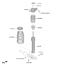 Diagram for Hyundai Tucson Coil Springs - 55330-P0CF0