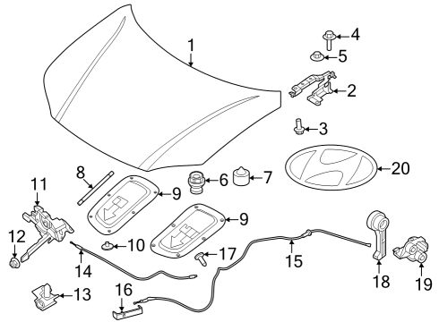 PAD-HOOD INSULATION,LH Diagram for 81125-KL000