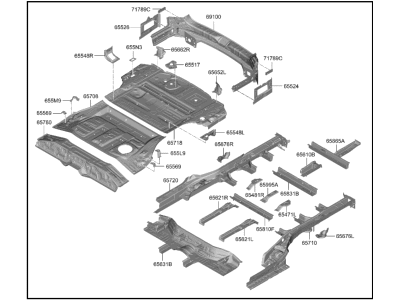 Hyundai Palisade Floor Pan - 65500-S8500
