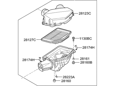 Hyundai 28121-D2000 Cleaner Assembly-Air,LH