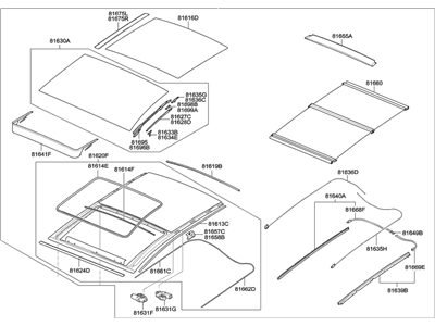 Hyundai 81600-A5100-TX Panorama Roof Assembly
