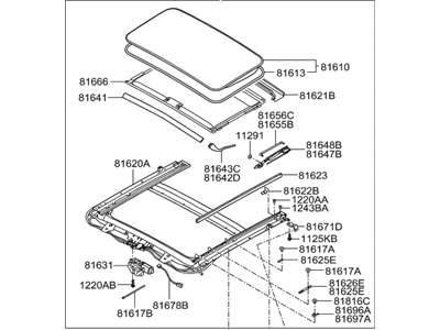 Hyundai 81600-2M500-9P Sunroof Assembly