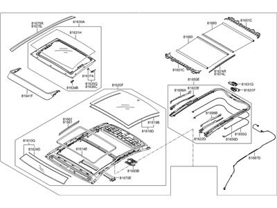 Hyundai Genesis G80 Sunroof - 81600-B1100-SG2