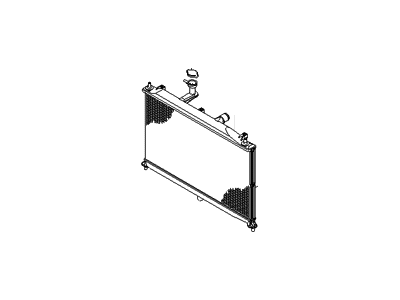 Hyundai 25310-1E150 Radiator Assembly