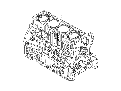 Hyundai 2G092-2GU00 Engine Assembly-Short