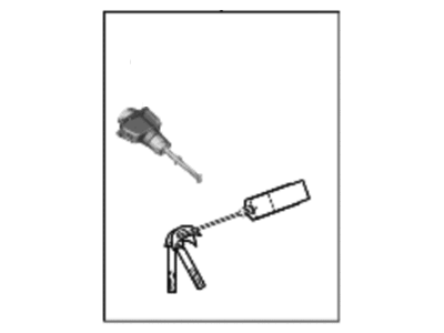 Hyundai 81905-J9030 Lock Key & Cylinder Set