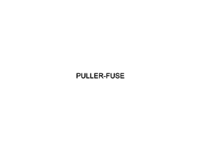 Hyundai 91950-C1980 PULLER-Fuse
