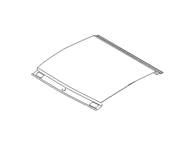 Hyundai 85305-2C000 Pad-Roof,Front