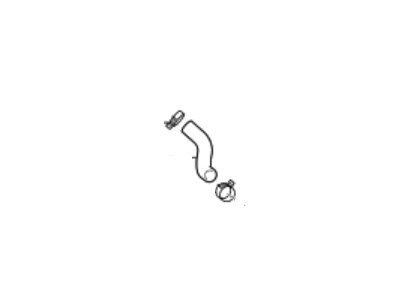 Hyundai Genesis G80 Coolant Reservoir Hose - 25450-D2100