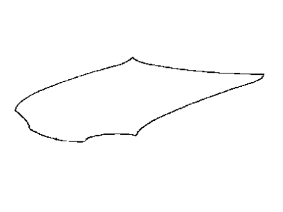 Hyundai Elantra Hood - 66400-28100