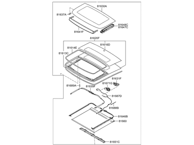 Hyundai 81600-2V500-RY Panorama Roof Assembly