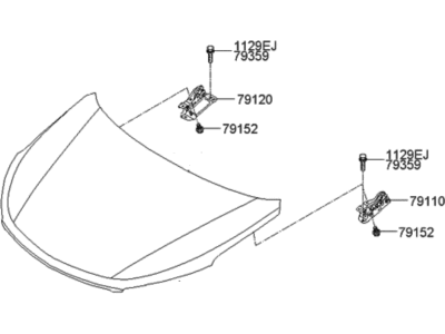 Hyundai 66400-2W000 Panel Assembly-Hood