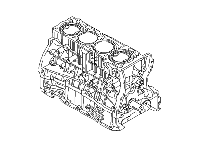 Hyundai 291TH-2GA25-HRM [Reman] Engine Assembly Short