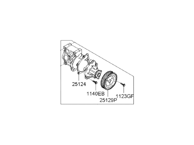 Hyundai 25100-25002