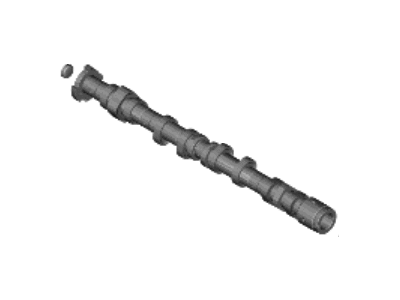 2021 Hyundai Santa Fe Camshaft - 24200-2S050