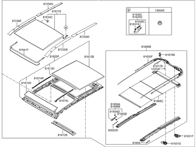 Hyundai Santa Fe Sunroof - 81600-B8010-OM