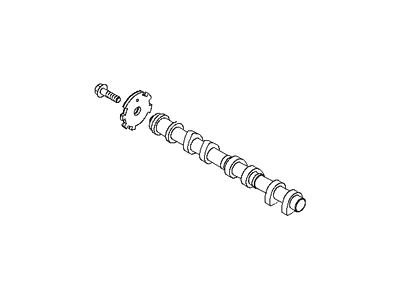 2010 Hyundai Veracruz Camshaft - 24100-3C205