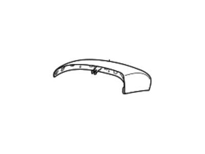 Hyundai Tucson Mirror Cover - 87616-D3110