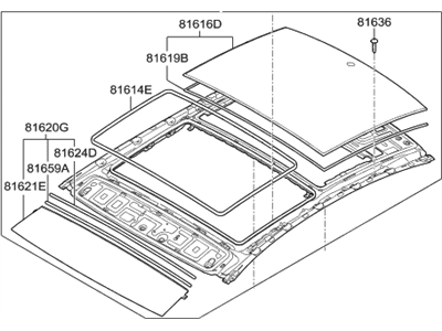Hyundai 81610-C1010 Panorama Roof Frame Assembly
