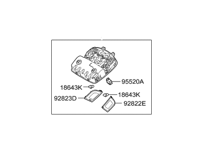 Hyundai 92810-F2000-TRY Overhead Console Lamp Assembly