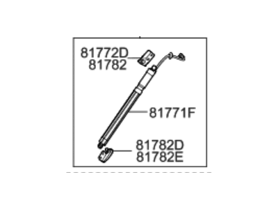 Hyundai Santa Fe Tailgate Lift Support - 81770-B8100