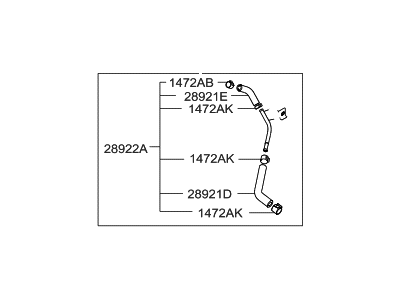 Hyundai 28931-2G710 Pipe & Hose Assembly Purge Vacuum