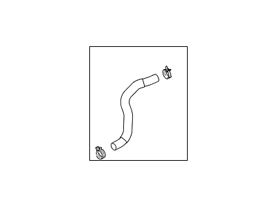 Hyundai 25415-D2000 Hose Assembly-Radaator,Lower