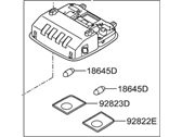Hyundai 92800-2V000-8M Overhead Console Lamp Assembly
