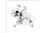 Hyundai 91116-2H320 Wiring Assembly Main