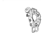 Hyundai 36170-37300 Brush Holder Assembly